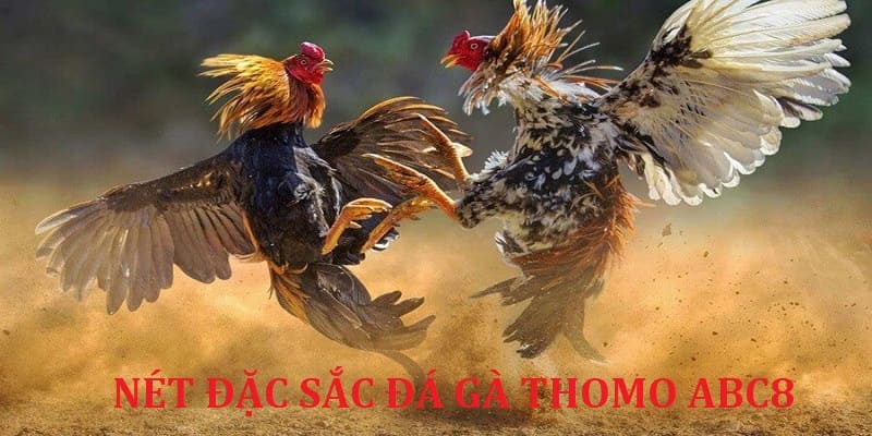 net-dac-sac-da-ga-thomo-abc8jpg